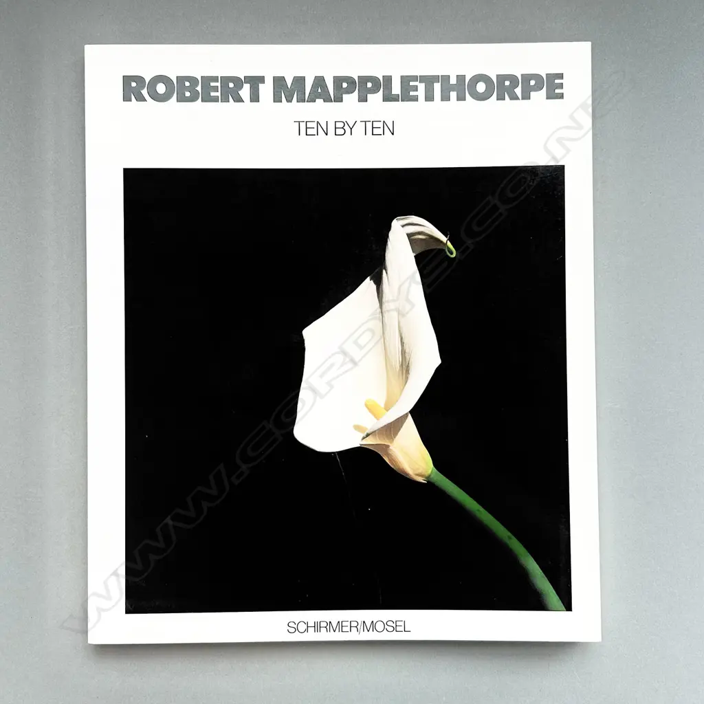 ROBERT MAPPLETHORPE: TEN BY TEN Image 1++